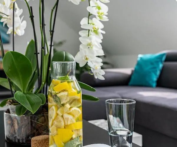 Aracsi 1610 * Balatonfured